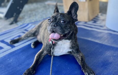 IN-ttcampground-beau